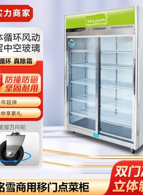 铭雪展示柜商用立式保鲜柜超市水果蔬菜饮料移门陈列柜冰箱点菜柜