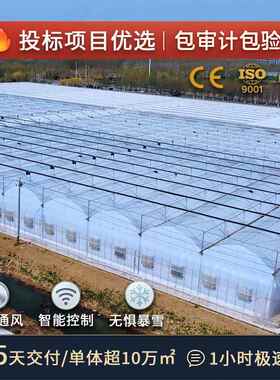 农业工程保温棚大棚配件蔬菜种植温室大棚骨架连栋薄膜温室大棚