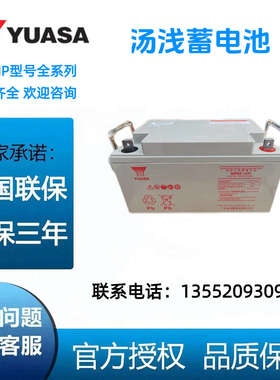 汤浅蓄电池NP100-12H/12V100AH/38AH/65AH/120AH/直流屏 UPS电源
