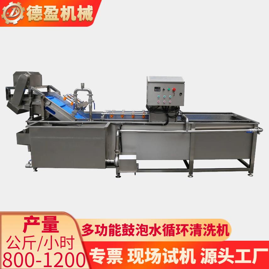 多功能大型鼓泡清洗机海鲜蔬菜水果药材网带清洗线自动水循环过滤