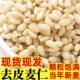 新去皮新麦仁农家自产河南精选小麦仁去皮麦仁粒谷物煮粥配料杂粮