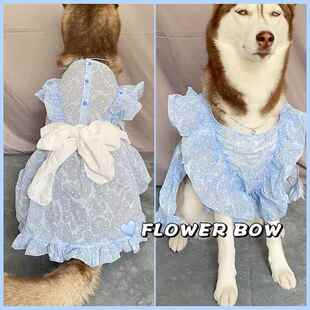 大型犬公主裙蓝色妖姬公主~子拉布拉多萨摩夏季薄款大狗服饰