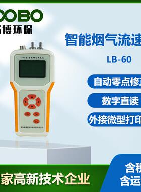 烟气流速监测仪 智能气体流速仪LB-60型 烟气管道烟气流速测试仪