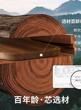 实案木家用LSCF137抗菌檀防霉板水果板双面切菜板可立乌木防滑整
