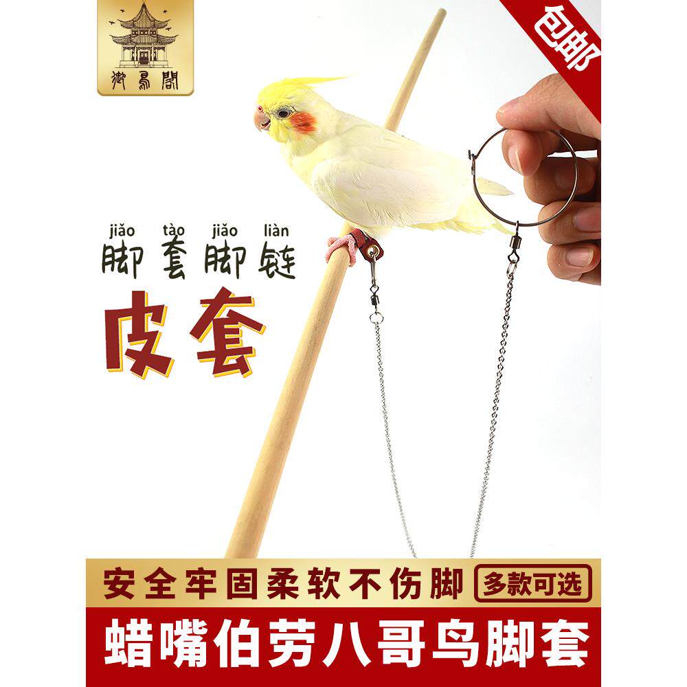 引绳飞行绳 超轻鸟链脚链脚环包邮八哥训练外出遛鸟牵鹦鹉放飞。