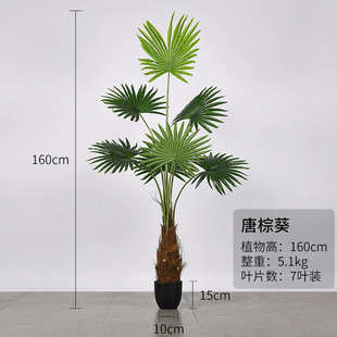 摆设仿真橱窗唐绿蒲葵蒲造景棕榈棕室内植物庭院地阳台假叶落装饰