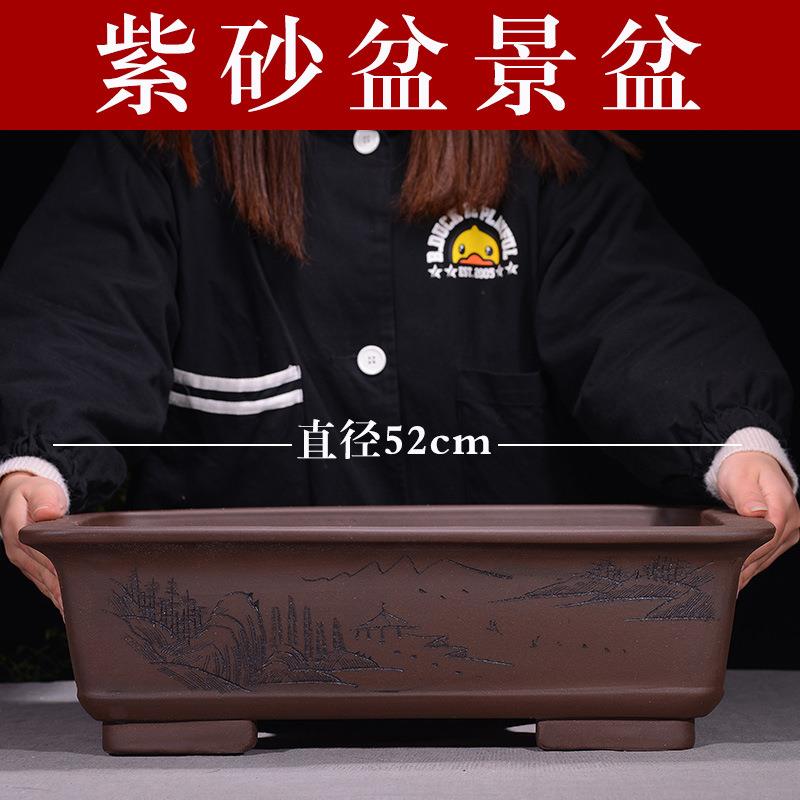 宜兴紫砂花盆长方盆景盆君子兰陶瓷花盆盆景花盆方形花盆室内花盆
