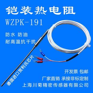铠装PT100铂热电阻PT1000温度探头探针式温度传感器WZPK-191针型