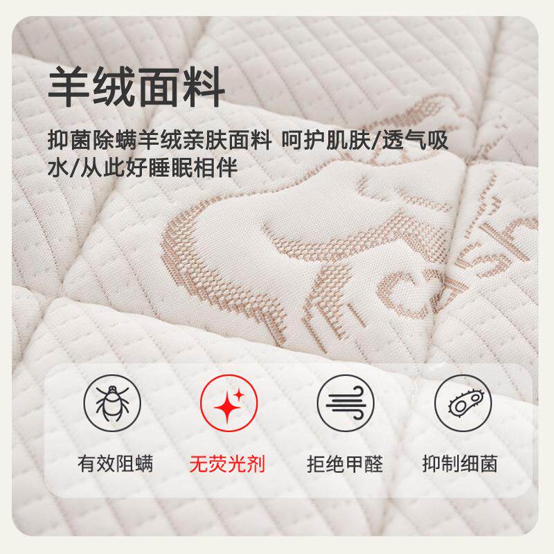 蓝思智造可折叠乳胶棕榈学生宿舍床垫三折沙发垫儿童地铺天然椰棕