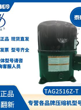 法国泰康TAG2516Z-T制冷压缩机冷库冷冻冷藏专用4P r404a原装新机