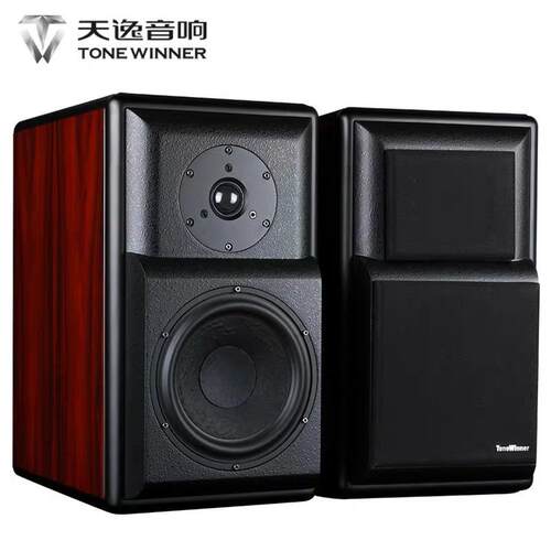 天逸TD-3童笛三号音箱发烧HI-FI书架音箱木质2.0无源专业音响