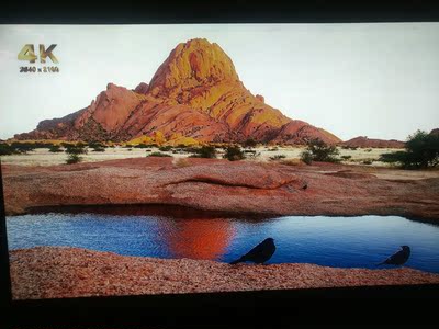 怎么样?一味跟风选择内幕解说