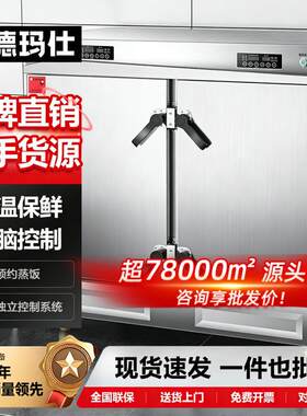 德玛仕48盘商用电动压力蒸饭柜 大型蒸箱设备食堂炖汤馒头蒸饭车