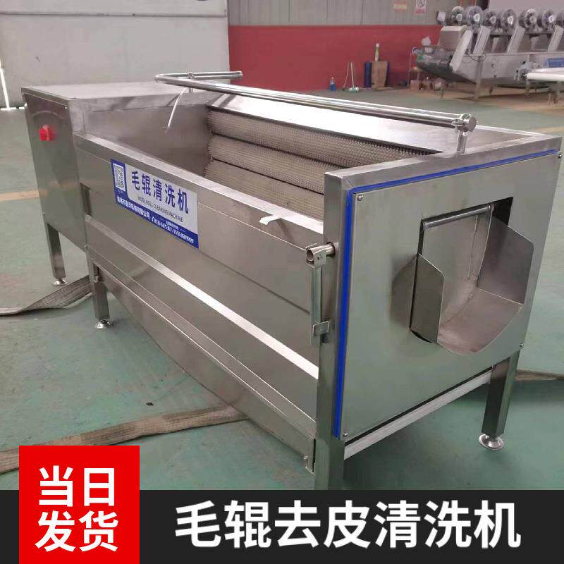 丑柑沃柑毛辊清洗机椰子毛刷清洗去皮机不锈钢钉螺毛辊清洗设备