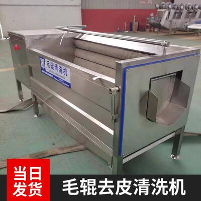 丑柑沃柑毛辊清洗机椰子毛刷清洗去皮机不锈钢钉螺毛辊清洗设备