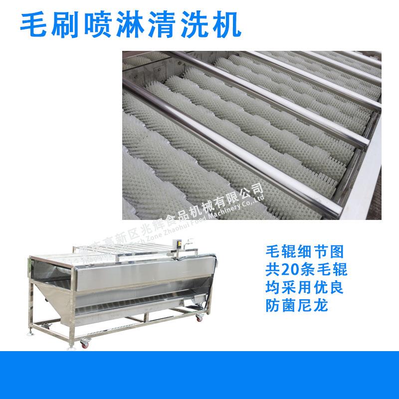 商毛刷喷淋式清设备农产品沙糖桔KGQ洗脐橙洗果机用百香果洗设清