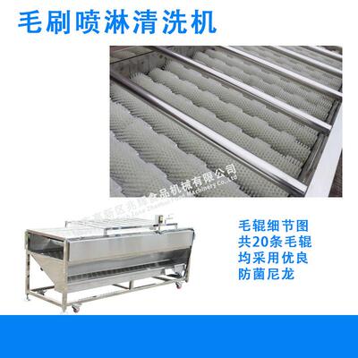 中房兆机辉Z-MP20全自动AFC果蔬根茎类清洗软毛刷H喷淋清洗机