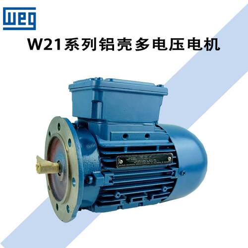 巴西三相异步电动机/W21AL63-04motor0.18W铝壳现货直发