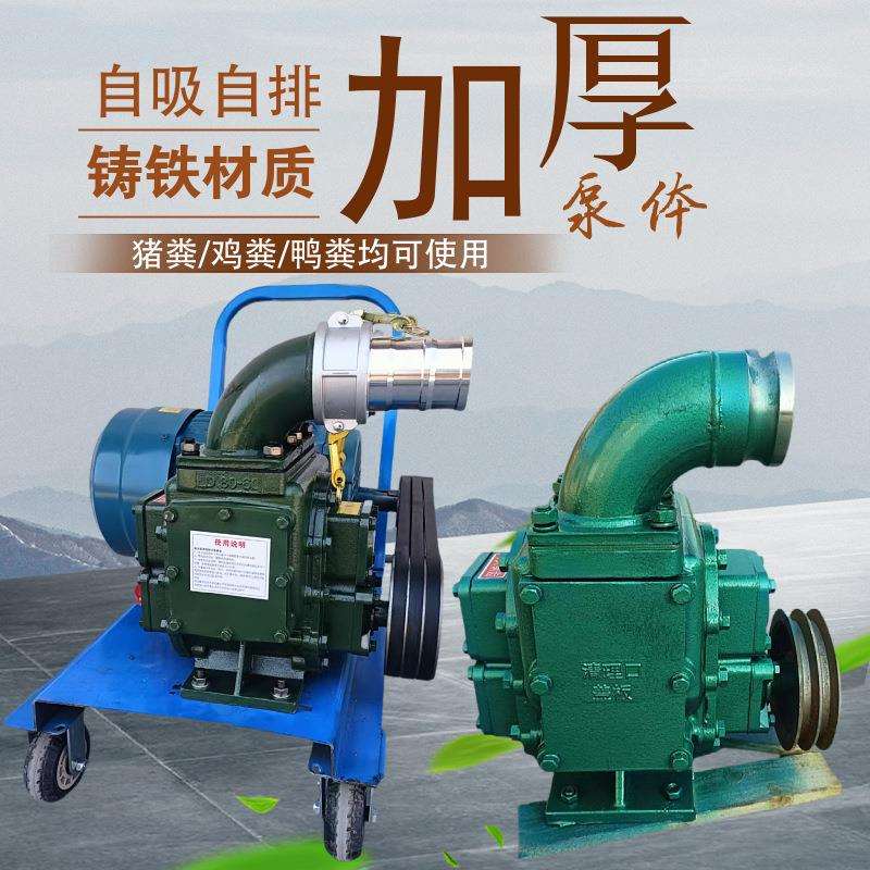 河道下水道小型吸污泵养殖场鸡鸭猪牛抽粪泵手推式电动淤泥清理机