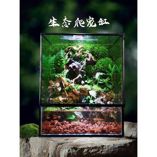 雨林缸造景成品苔藓微景观林生态瓶桌面绿植创意水陆生态缸植物森