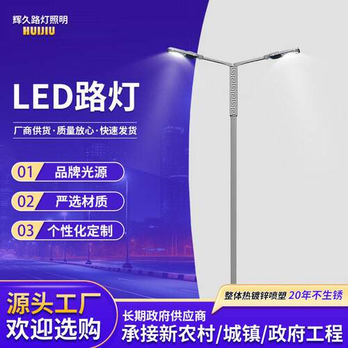 双臂杆灯led灯市电路灯投光灯户外路灯照明灯防水节能灯