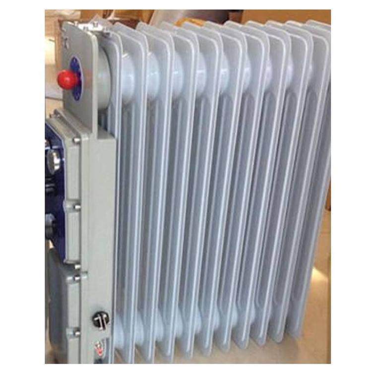 九天 2000W增安兼浇封兼本安型取暖气 矿用防爆电暖气