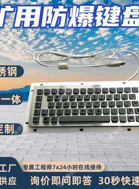FHJ12矿用本安型控制键盘 防爆无线键盘 加固型不锈钢材质