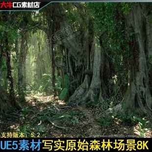 UE5虚幻 原始森林 带根大树 灌木植物素材超写实树林场景
