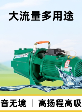 喷射泵高扬程高吸程大流量家用自来水增压泵全自动电动抽水泵