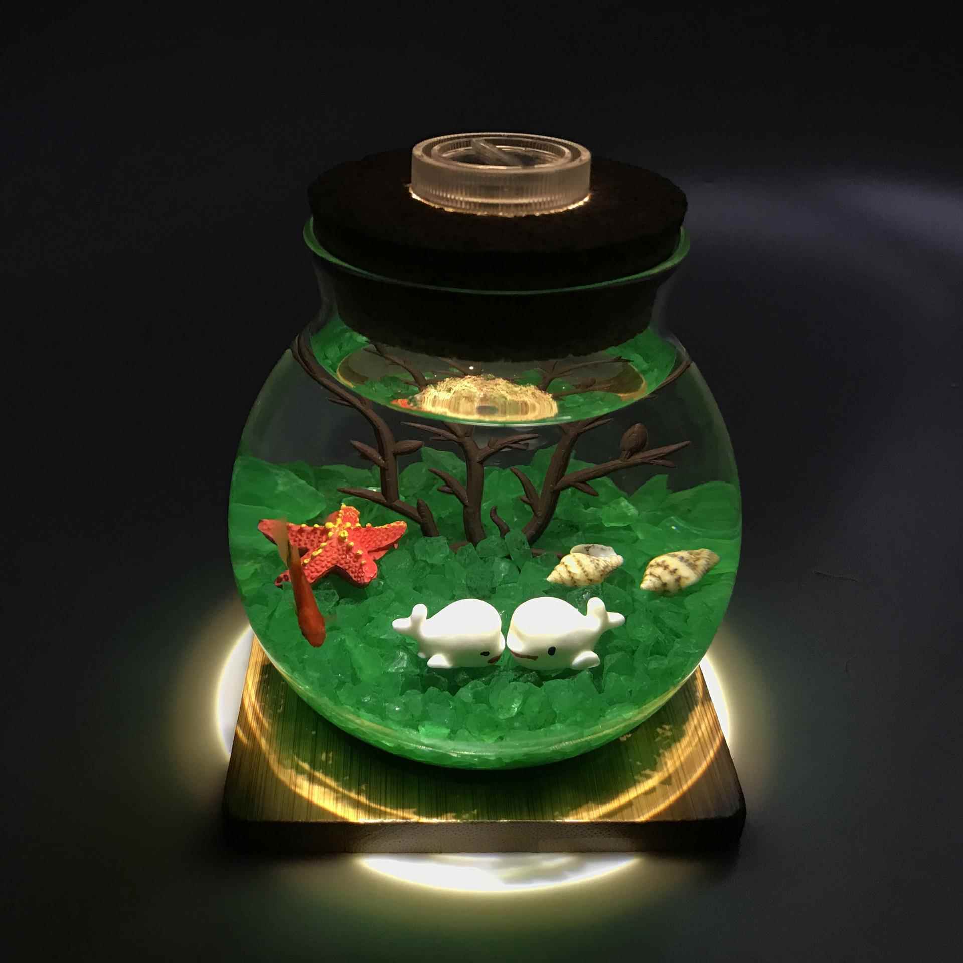 幸福微景观生态瓶DIY水培植物创意办公室小盆栽礼物套装夜光鱼缸