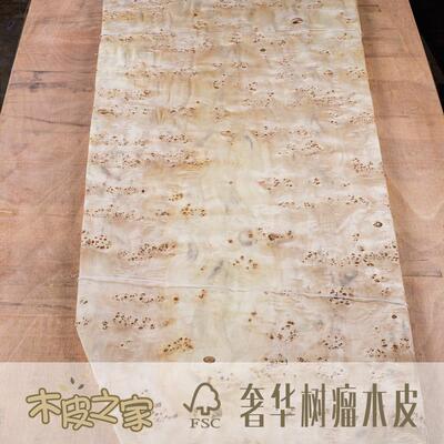 厂家直销 欧洲白杨树榴天然木皮 家具饰面木皮贴皮贴面