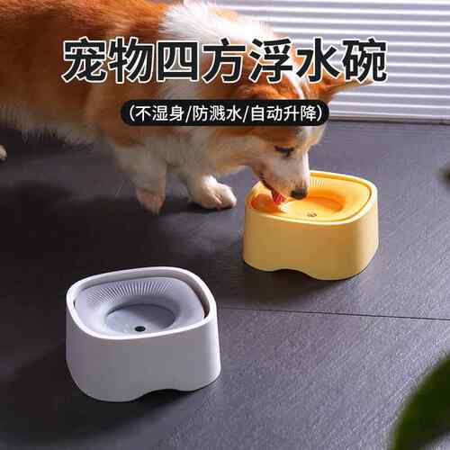 宠物饮水器狗狗猫咪喂水碗喝水碗浮水碗饮水碗猫碗狗碗不湿嘴跨境