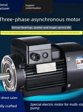Cdl立式多级泵专用电机1.11/1.5/2.2/3/5.5/11/15Kw国标全铜电机