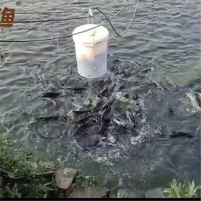 鱼苗粉料投料机花鲢粉料投料机粉料桶加州鲈鱼苗粉料机泥鳅苗粉