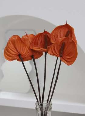 进口道具大地来家居装饰等红掌农婚庆花花艺永生拍摄花05410园