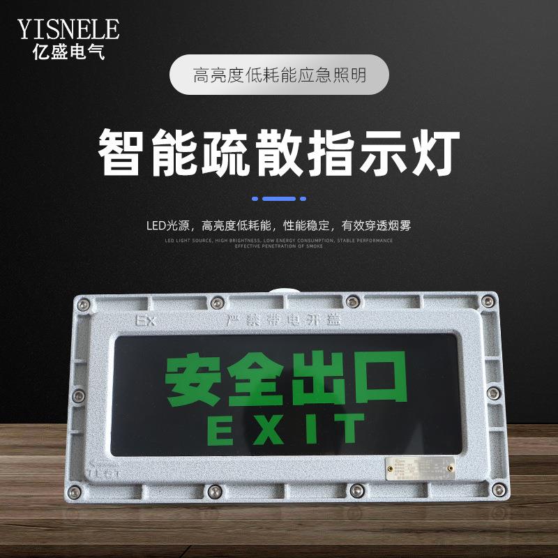 DC24-36V应急照明疏散指示灯安全出口应急疏散指示灯