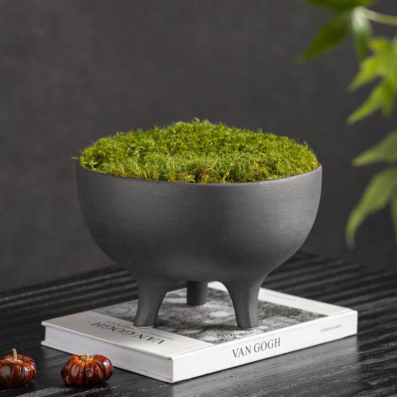 匠十三新中式微景观永生苔藓仿真植物仿生青苔造景茶室装饰品摆件