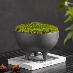 匠十三新中式微景观永生苔藓仿真植物仿生青苔造景茶室装饰品摆件