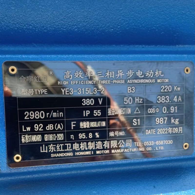 山东厂家直供YE3-315L3-2/220KW大转矩YE3系列三相异步电动机