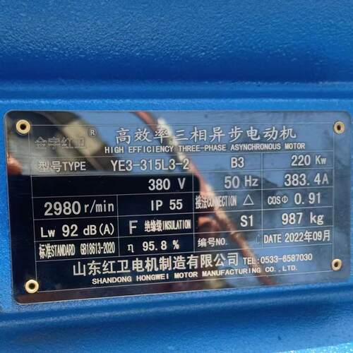 山东厂家直供YE3-315L3-2/220KW大转矩YE3系列三相异步电动机