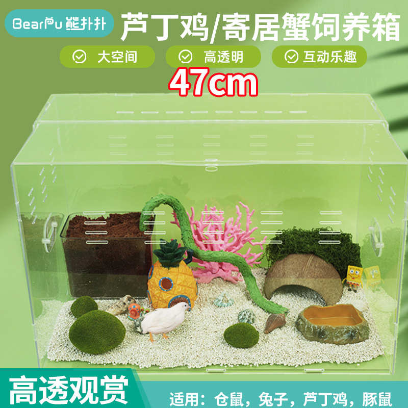 全透明亚克力寄居蟹饲养箱芦丁鸡笼子爬宠饲养盒芦丁鸡窝仓鼠笼
