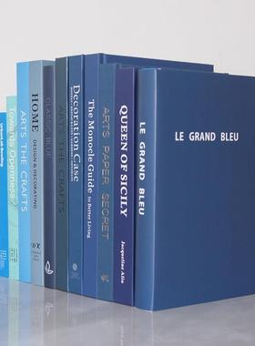 蓝色简约装饰真书 样板房陈列装饰书 样板间饰品摆件 摆场道具书