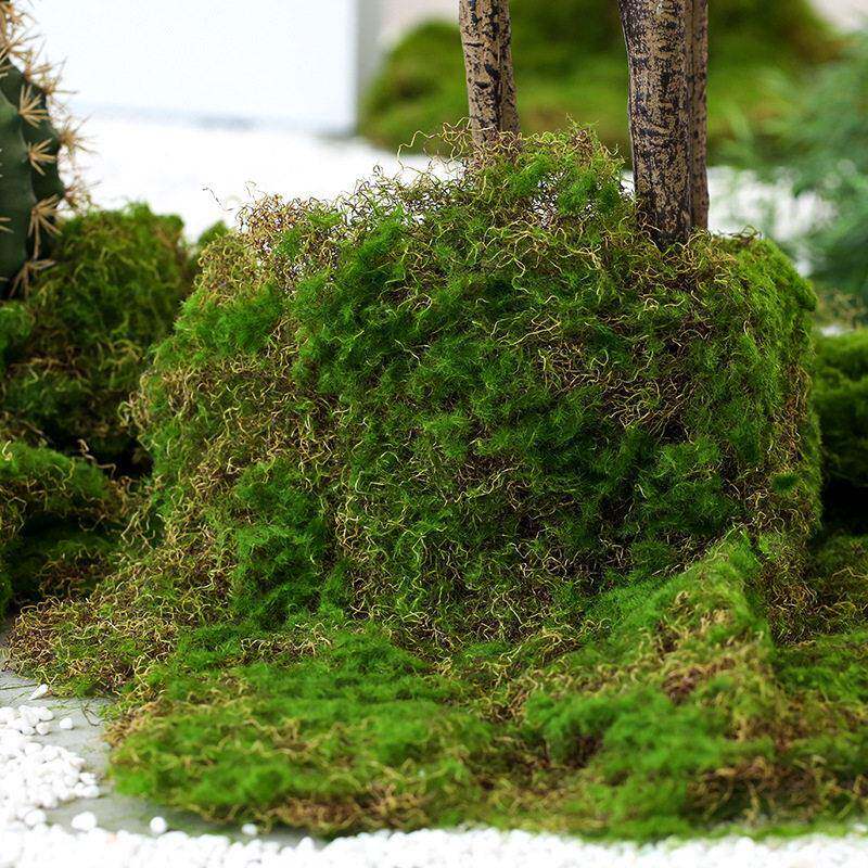 仿真植物铺造盆景苔绿植青苔面景观装饰藓景配材植物搭配仿LY-009