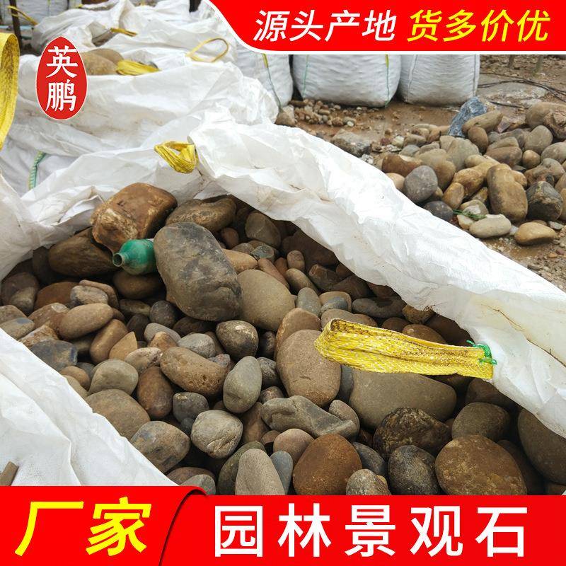 广州装笼鹅卵石5-0公分工程铺路园林脚踏石庭院花园造景卵石