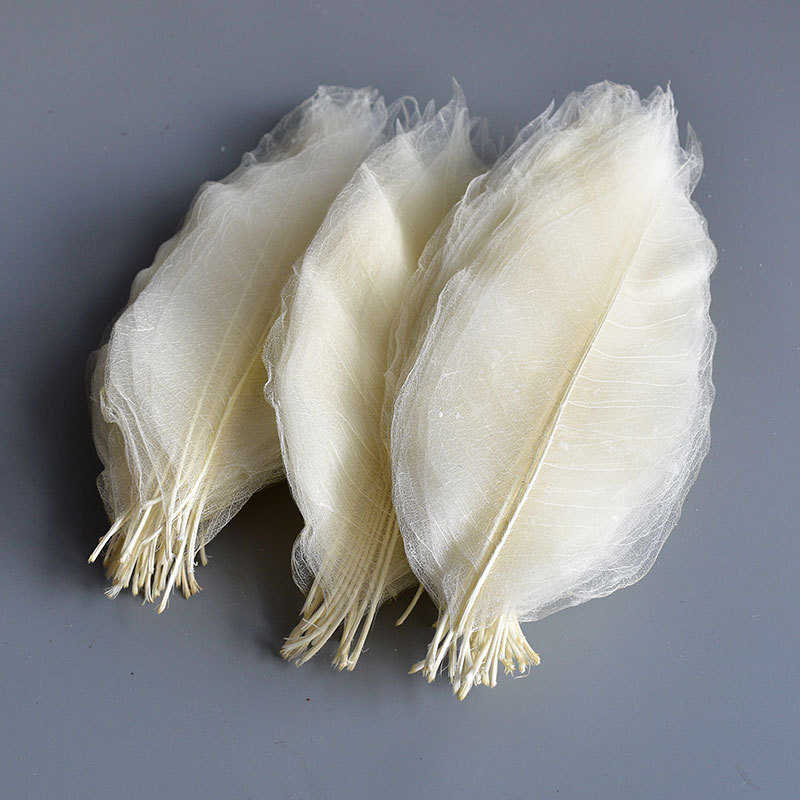 干花叶脉批发花材花束配材干花艺术混搭花束客厅摆件创意插花