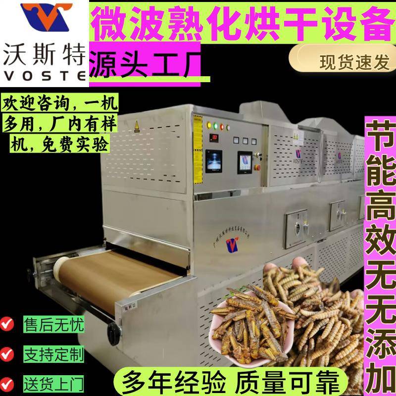 微波黑水虻烘干设备 连续式面包虫干燥机 黄粉虫膨化昆虫干燥机