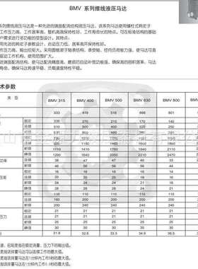 镇江大力液压马达摆线马达BMV-315-4AD液压马达 大扭矩大功率平面