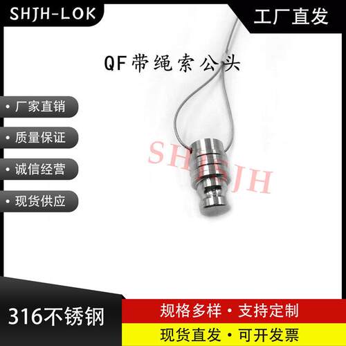 互通世伟洛克Swagelok16不锈钢全流量带绳索公头SS-QF4-BP