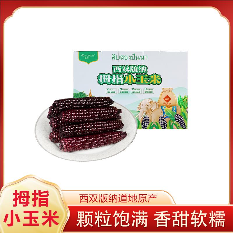 杨芊一 西双版纳紫糯拇指玉米 800g/箱 代早餐非转基因手指小玉米