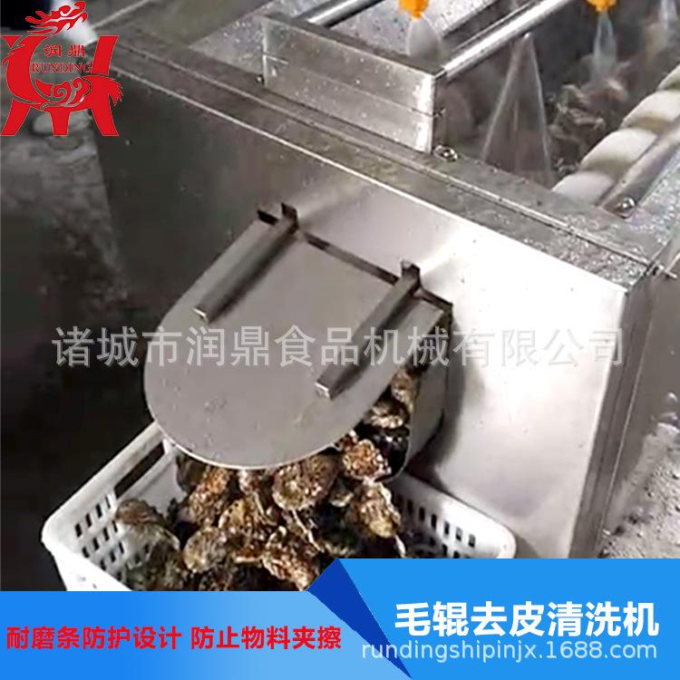 小型毛辊 脐橙洗清机润鼎田螺全自动淋清洗设备 厂喷家定制优质去